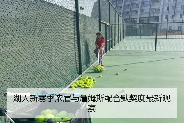 湖人新赛季浓眉与詹姆斯配合默契度最新观察
